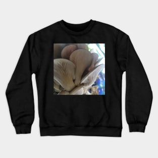 Oyster Mushroom Gills Crewneck Sweatshirt